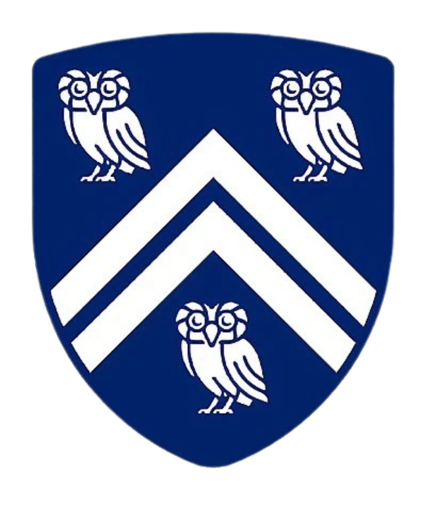 Rice seal